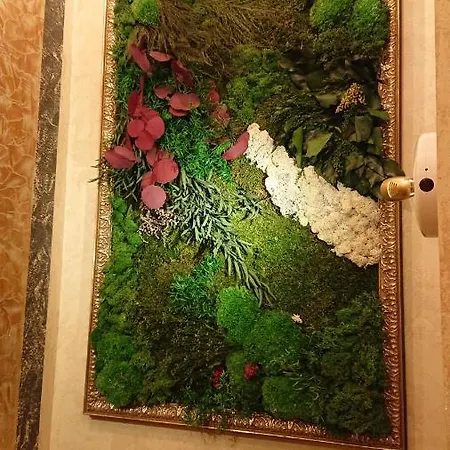 Casa Anton O Cebrero