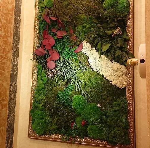 Casa Anton O Cebrero